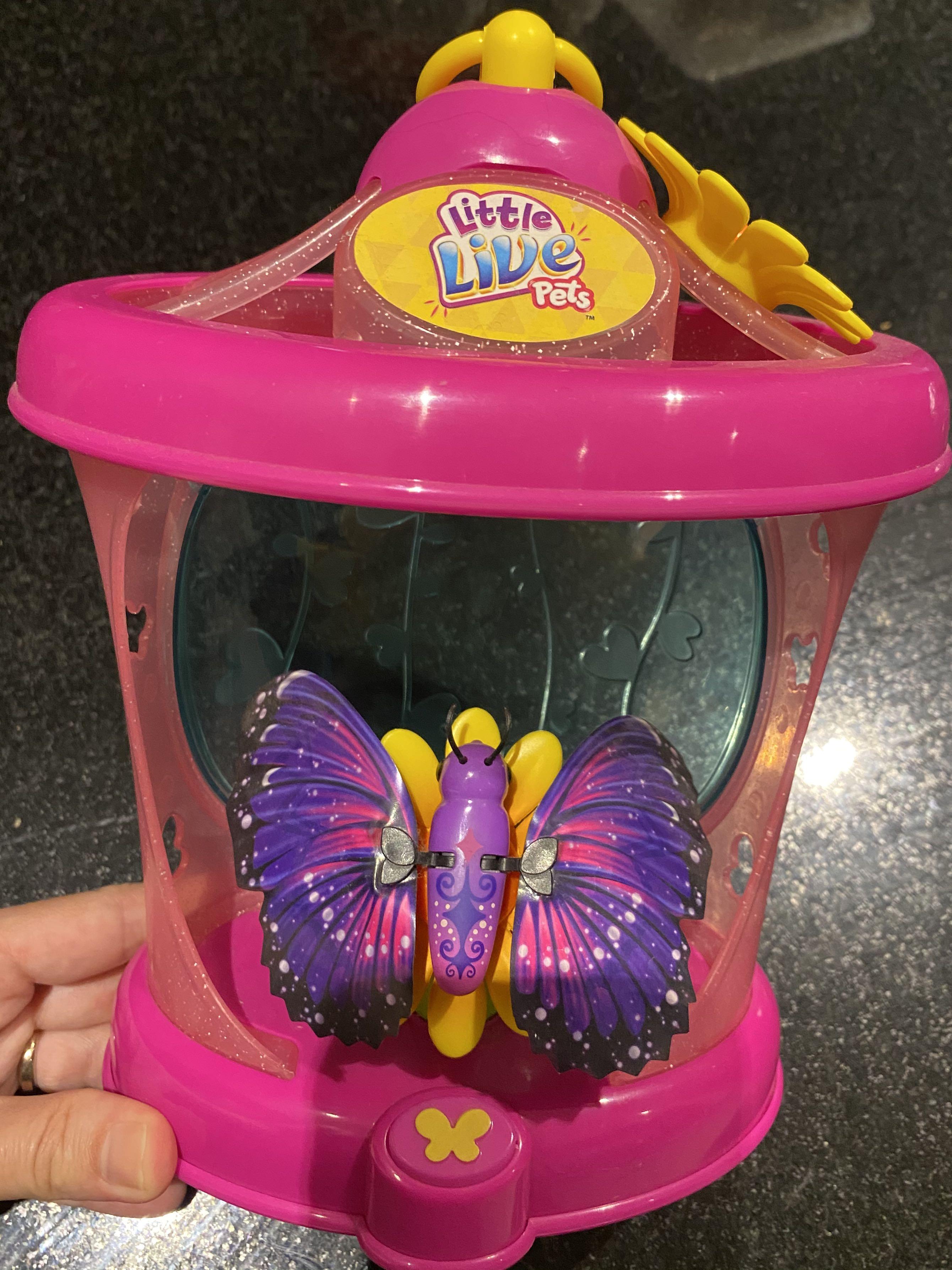 little live pets butterfly house