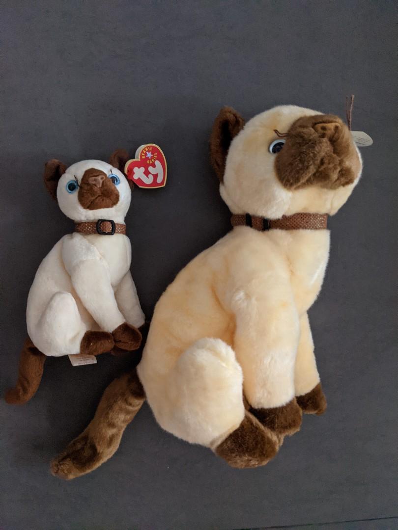 TY Beanie Babies Siam the siamese cat Hobbies Toys Toys