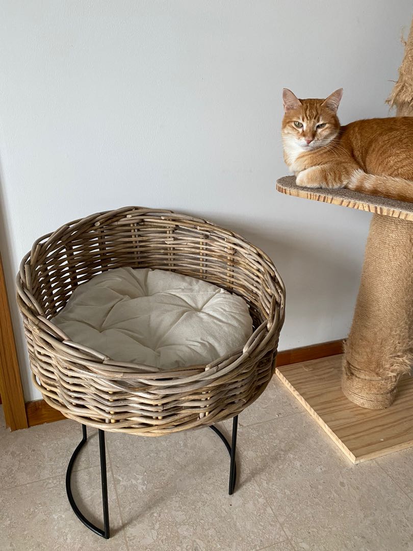 Wood / Rattan Cat Bed with stand and pillow, Pet Supplies, Homes