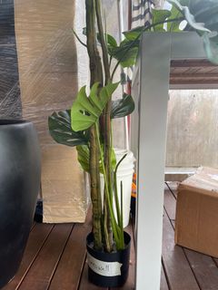 (Category: ) located in . Submitted by bennyvoon (Listing ID 1073870754, Image 1). Description: .