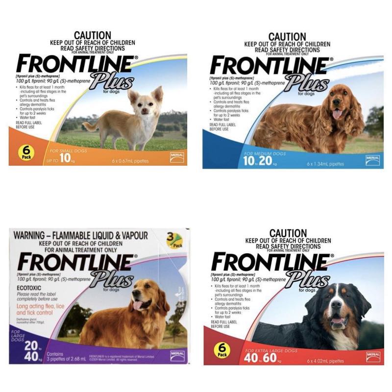 Frontline for deals shih tzu