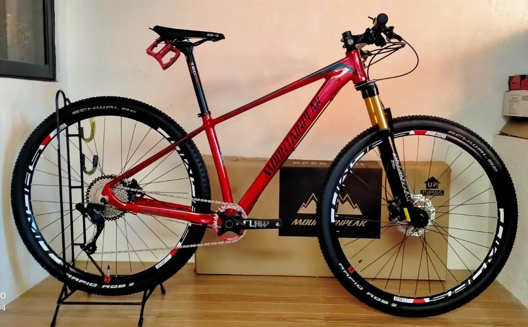 Mountain top peak 29er