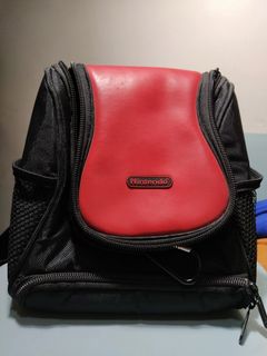 Nintendo DS Bag Accessories