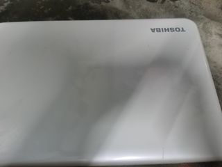 (Category: ) located in . Submitted by pikachiew (Listing ID 1073942623, Image 1). Description: .
