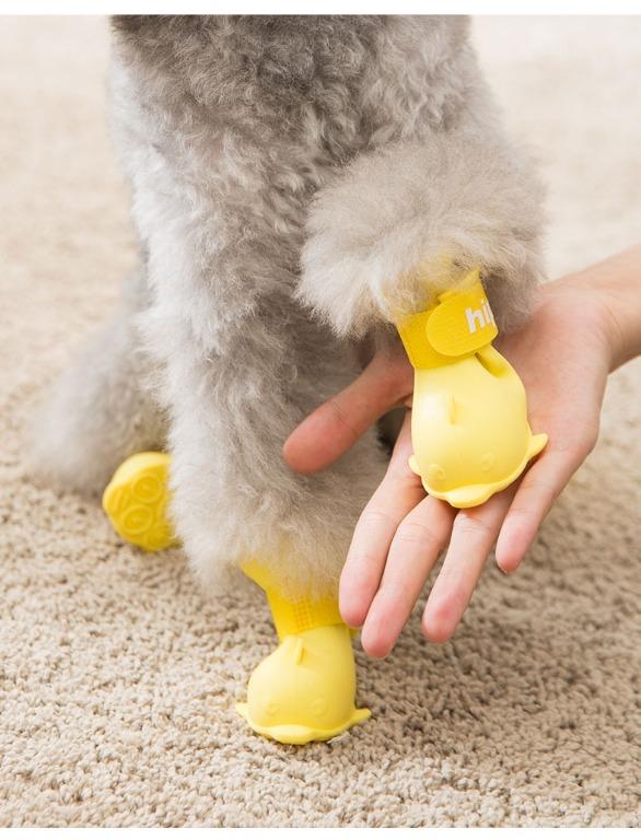 Rain boots hotsell for small dogs
