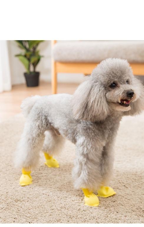 Rain boots hotsell for small dogs