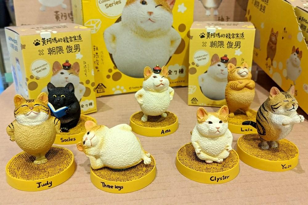 黃阿瑪的後宮生活7隻朝隈俊男 玩具 遊戲類 玩具 Carousell