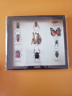 （分類：）位於 。 由 cdrooms 提交（商品編號 1074059678，圖片 1）。簡介： 。