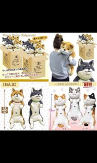 （分類：）位於 。 由 tsangkitty 提交（商品編號 1074015429，圖片 1）。簡介： 。
