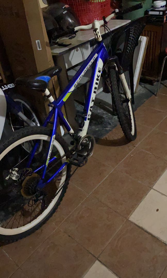 Cat discount frame basikal