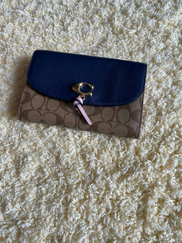 Coach Remi Chain Crossbody Bag