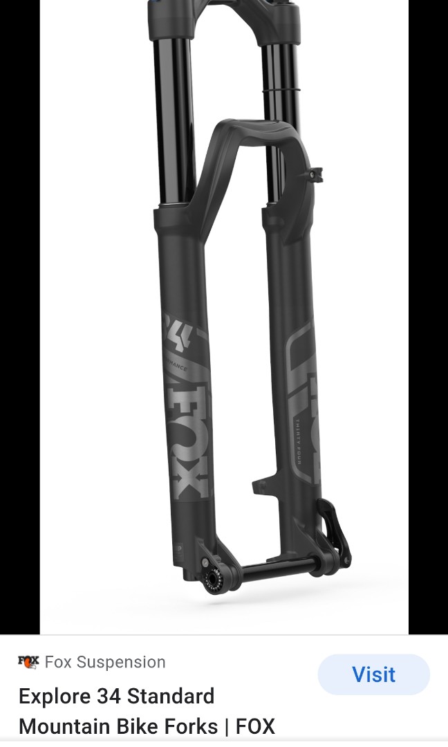 Fox 34 Rhythm 2021 29er