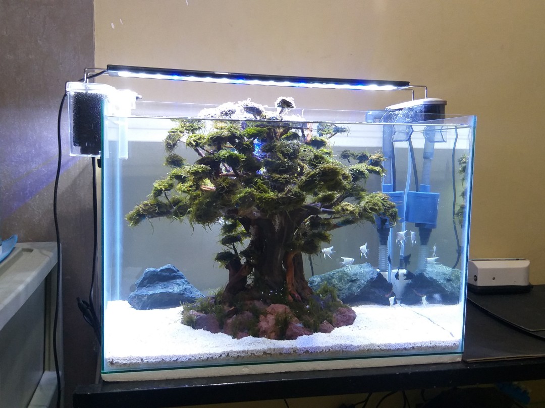 complete aquarium set