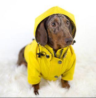 Ellie Dog Wear Yellow Raincoat L