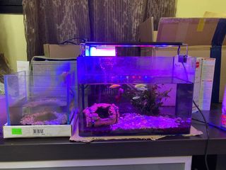 (Category: ) located in . Submitted by nicchee7785 (Listing ID 1078925289, Image 1). Description: .