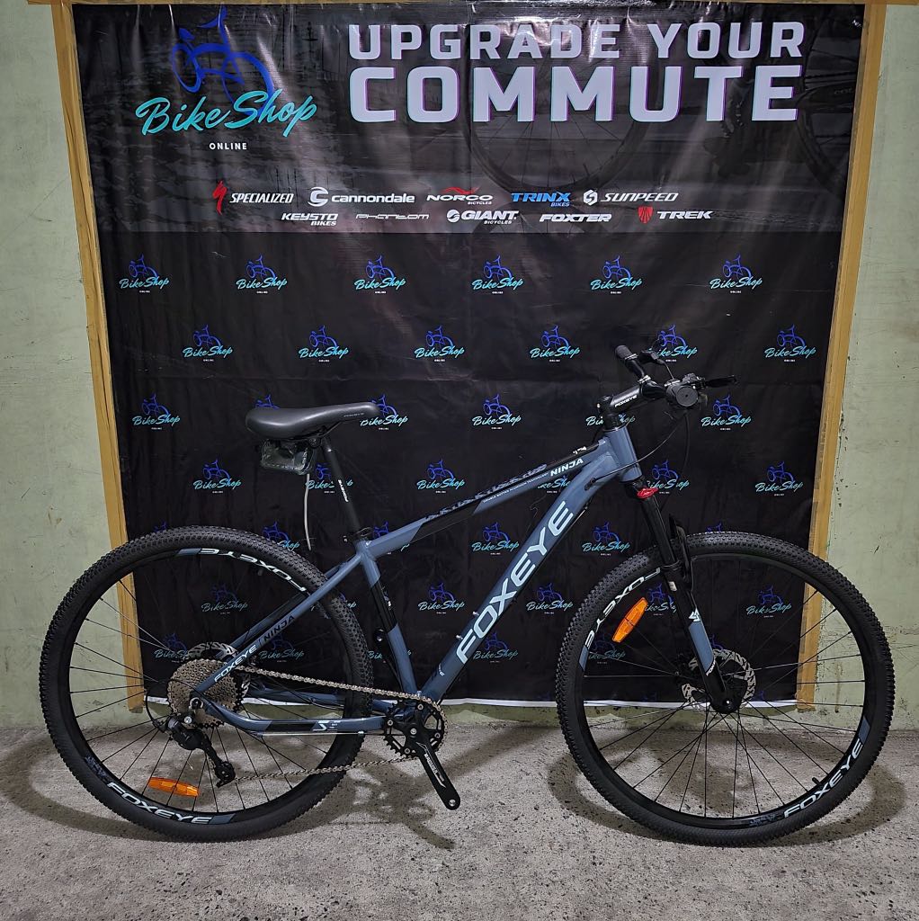 foxeye bike 29er