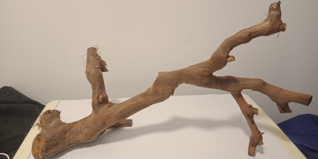 Hamster grapevine wood, Pet Supplies, Homes & Other Pet Accessories on Carousell