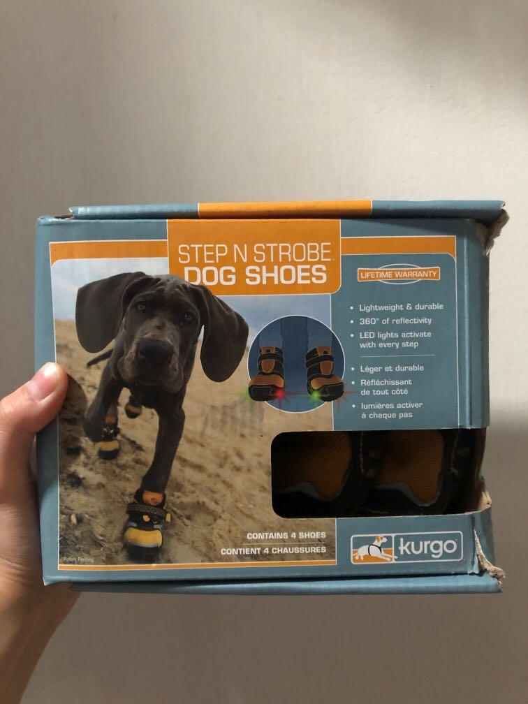 Step and strobe 2025 dog shoes
