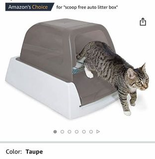 (Category: ) located in . Submitted by ccinomojo (Listing ID 1078942844, Image 1). Description: .