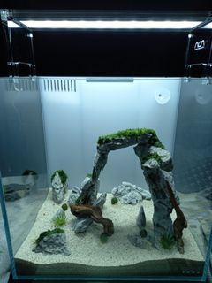 (Category: ) located in . Submitted by altrtr (Listing ID 1080694630, Image 1). Description: .