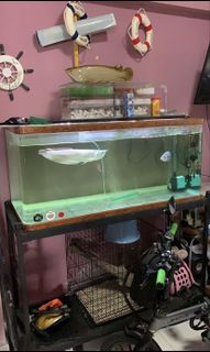 (Category: ) located in . Submitted by _xxsunflower (Listing ID 1080739283, Image 1). Description: .