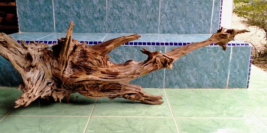 Kayu Hiasan Aquarium Besar Pet Supplies Pet Accessories On Carousell