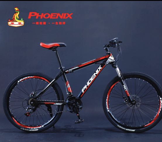 Phoenix clearance gear cycle
