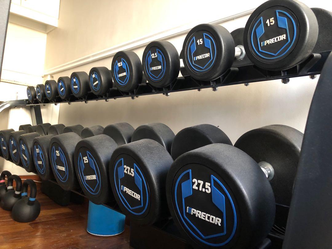 Precor dumbbells on sale