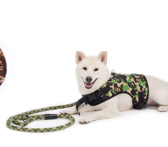 Bape leash Clearance