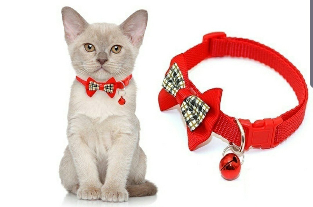 cat ribbon collar