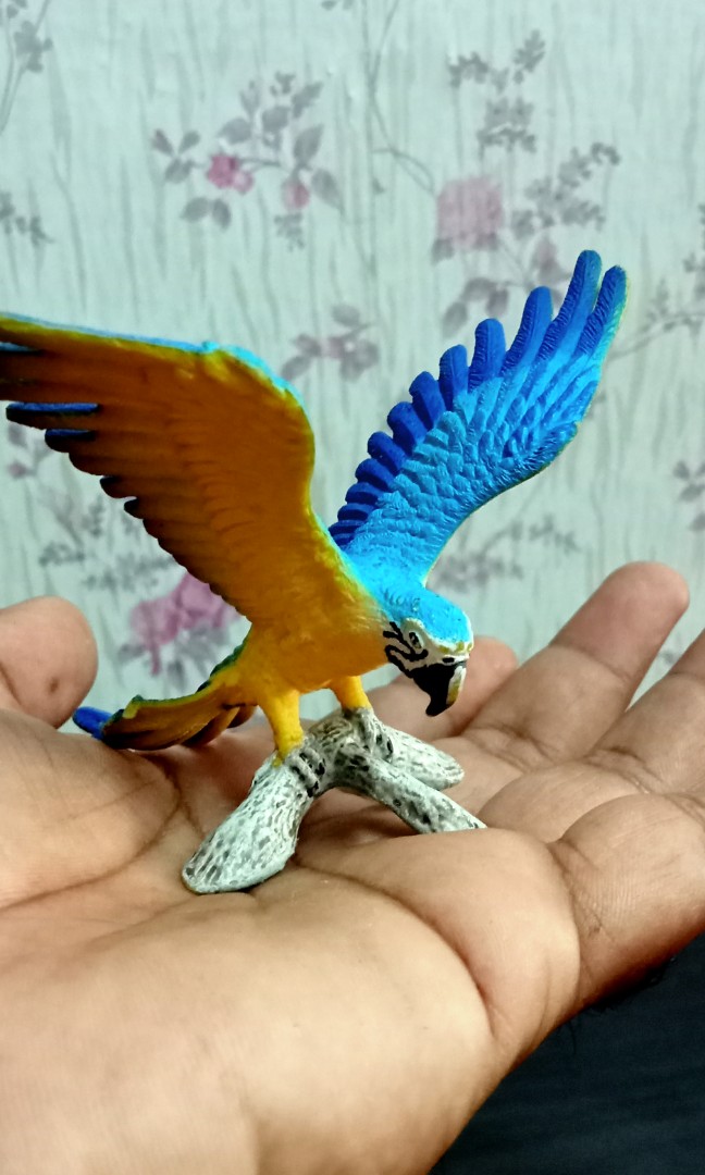 Schleich macaw best sale