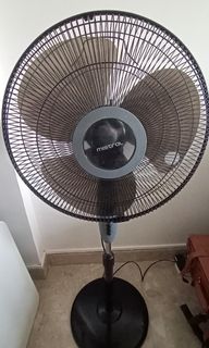 (Category: ) located in . Submitted by lexington.52nd (Listing ID 1080584853, Image 1). Description: .
