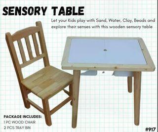 ‼️#917 Sensory Table‼️