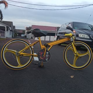 Rim 4 Batang Kipas V1 Depan Pintu Basikal Lajak, Sports Equipment, Bicycles & Parts, Bicycles On Carousell