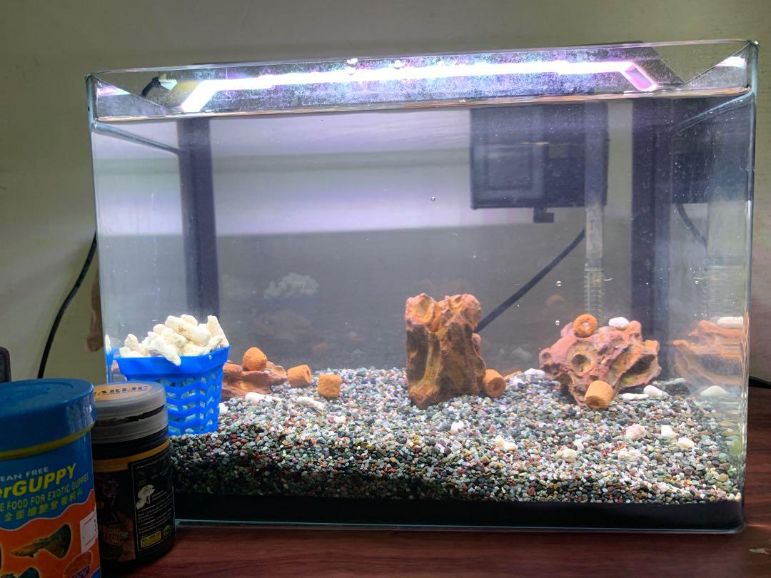 Fish tank equipment for sale store