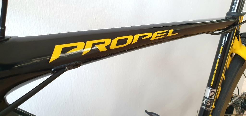 Giant propel geometry chart online