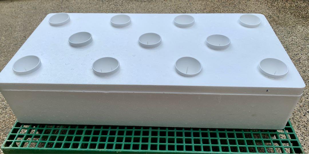 Hydroponics Box and Styro Cups, Furniture & Home Living, Gardening