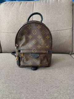 LV louis vuitton bag palm spring