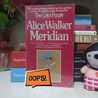 Meridian - Alice walker
