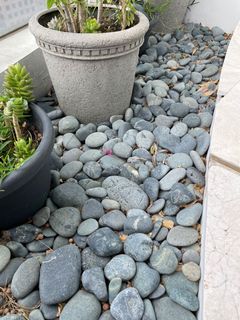 (Category: ) located in . Submitted by cecile_ca (Listing ID 1079665408, Image 1). Description: .