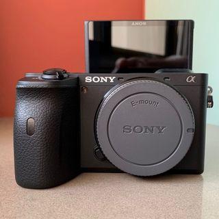 Sony a6600