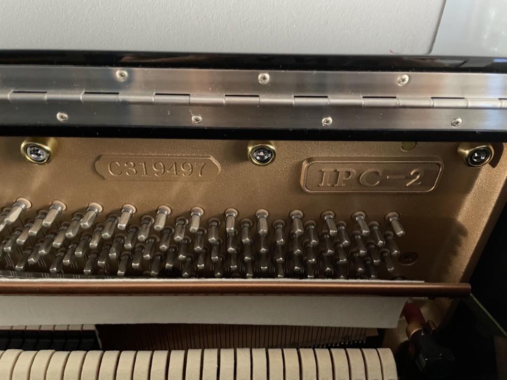 Yangtze River Upright Piano - IPC2, Hobbies & Toys, Music & Media ...