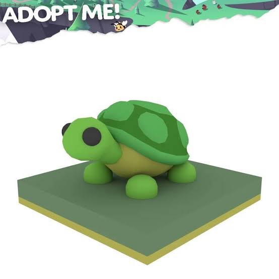 Adopt Me pets FR TURTLE, Video Gaming, Video Games, Others on Carousell