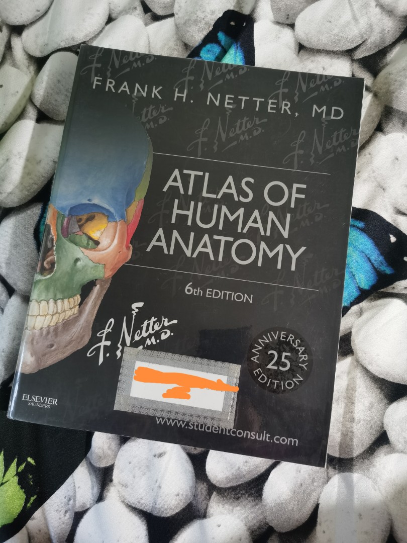 Atlas of Human Anatomy by Frank Netter 6th Ed, Hobbies & Toys, Books ...