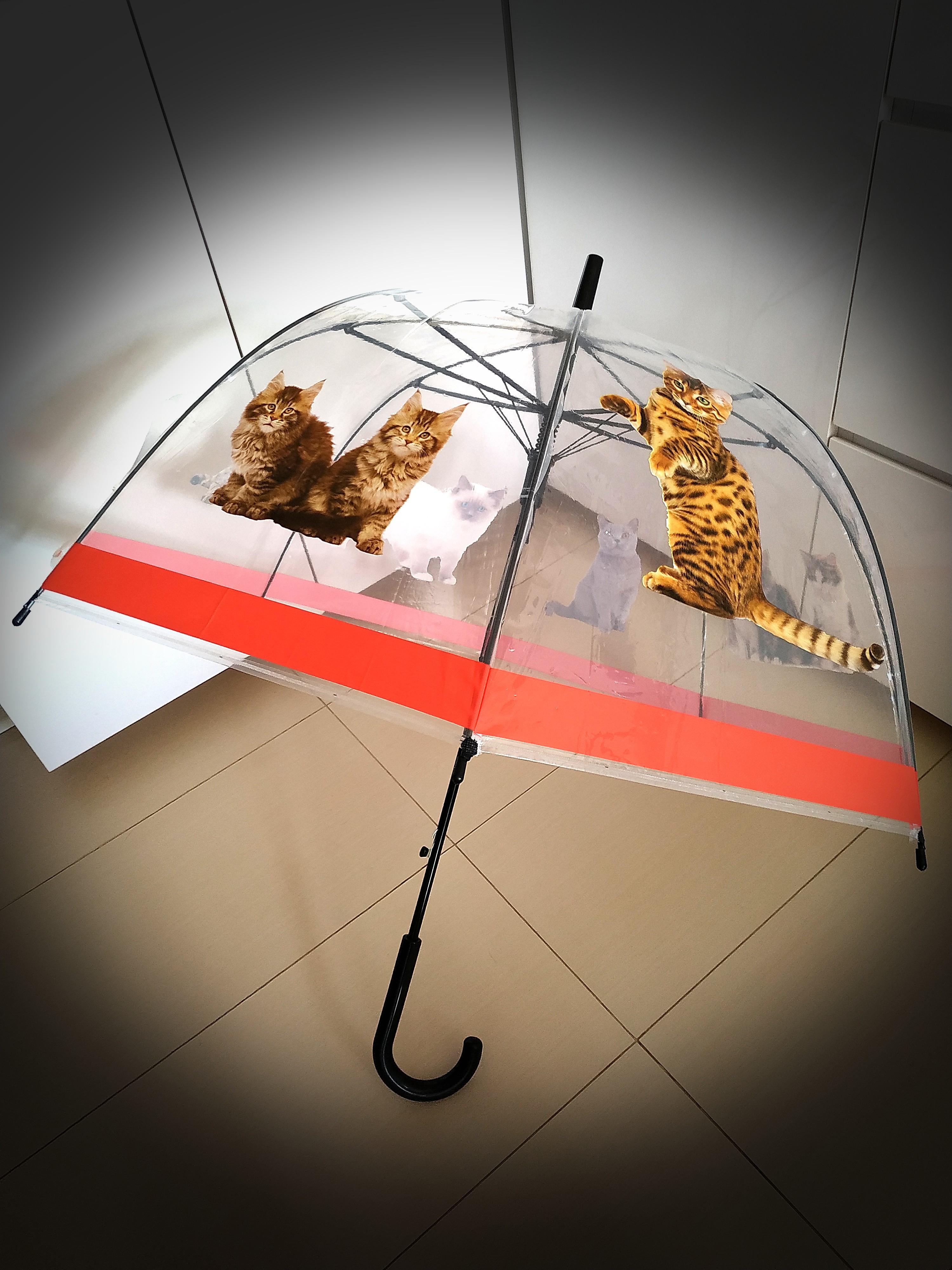 brand new cat print clear dome umbrella royal canin limited edition everything else on carousell
