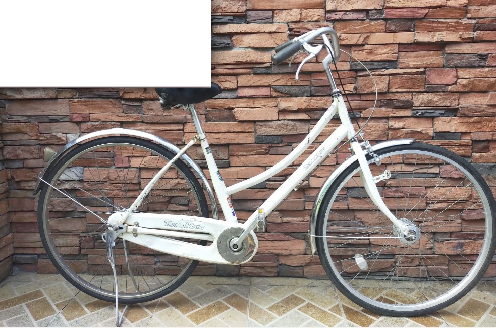japan surplus bike review