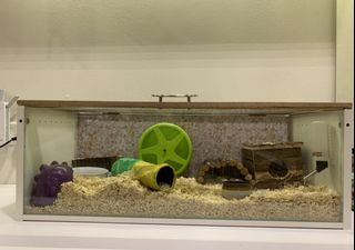 (Category: ) located in . Submitted by claire.17 (Listing ID 1081061473, Image 1). Description: .