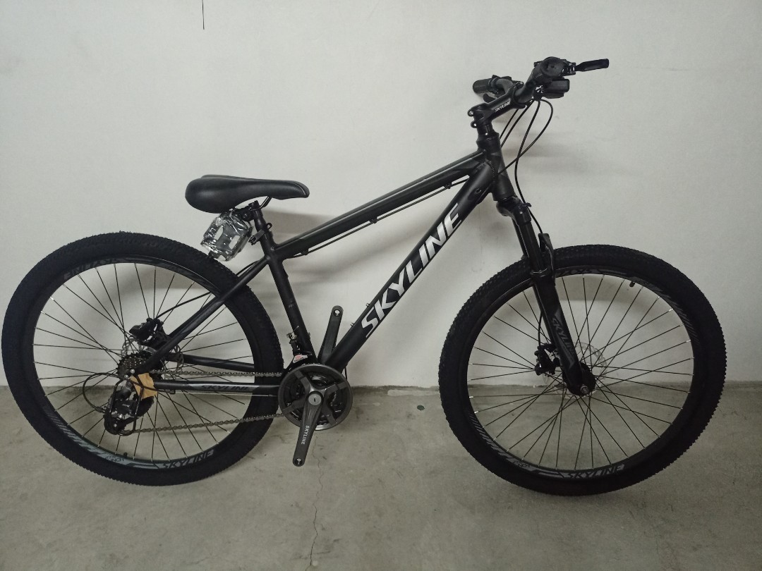 Skyline roller outlet 27.5