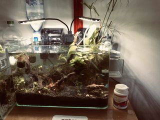 (Category: ) located in . Submitted by 8chilli8 (Listing ID 1081069757, Image 1). Description: .