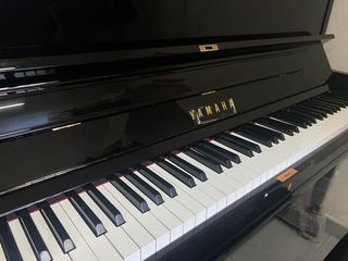 （分類：）位於 。 由 rasinbb120 提交（商品編號 1081059168，圖片 1）。簡介： 。